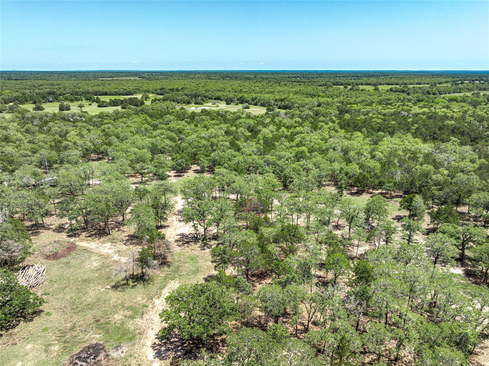 4638 Red Hollow Lane Smithville TX 78957