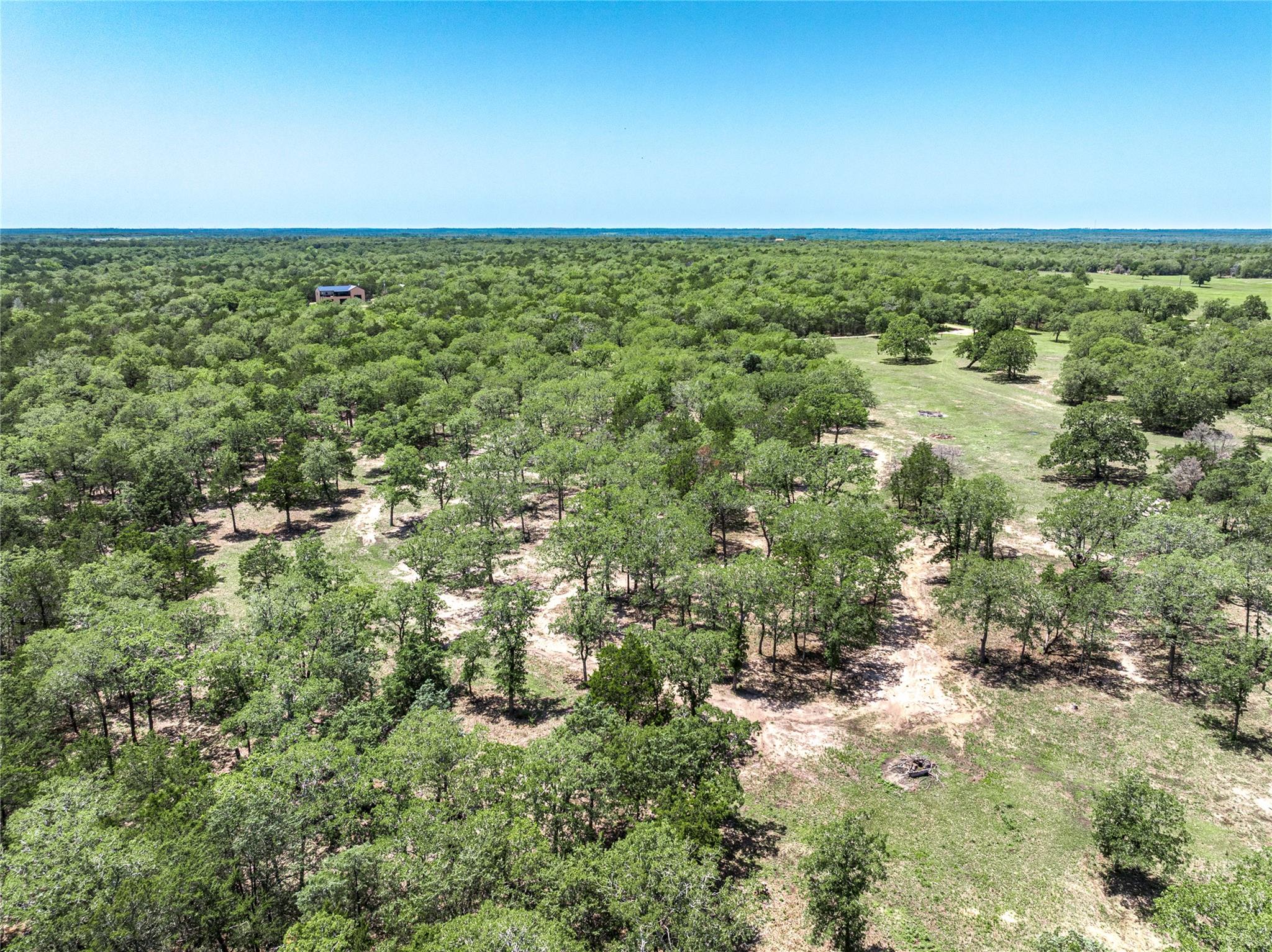 4638 Red Hollow Lane Smithville TX 78957