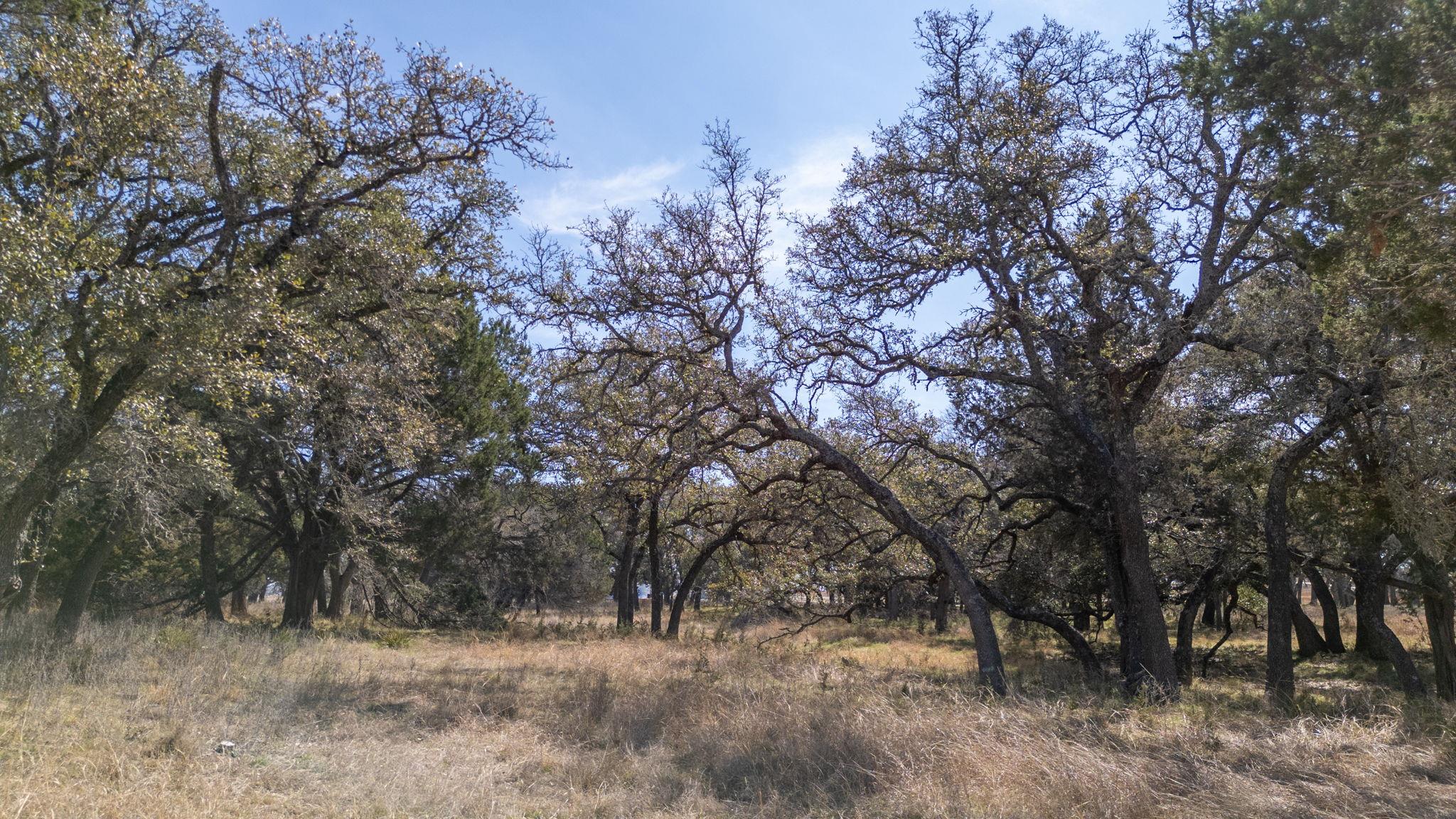 Tbd Blackbuck Ridge Drive Lampasas TX 76550