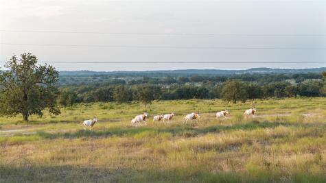 8577 Ranch Road 2766 Johnson City TX 78636