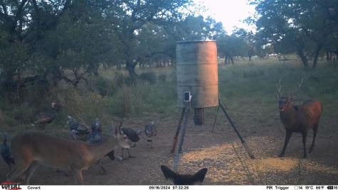 8577 Ranch Road 2766 Johnson City TX 78636