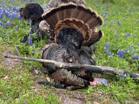 8577 Ranch Road 2766 Johnson City TX 78636