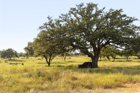 8577 Ranch Road 2766 Johnson City TX 78636