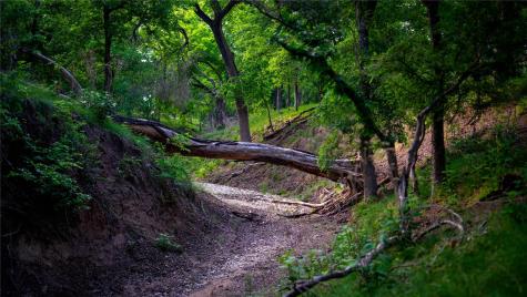 11290 E Us Highway 290 Fredericksburg TX 78624