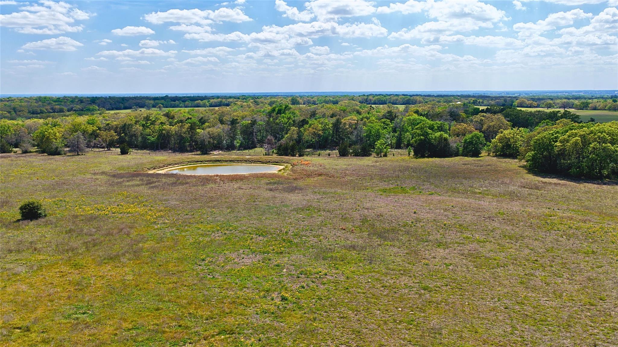 Tbd Legacy Road (10.8 Acres) Caldwell TX 77836