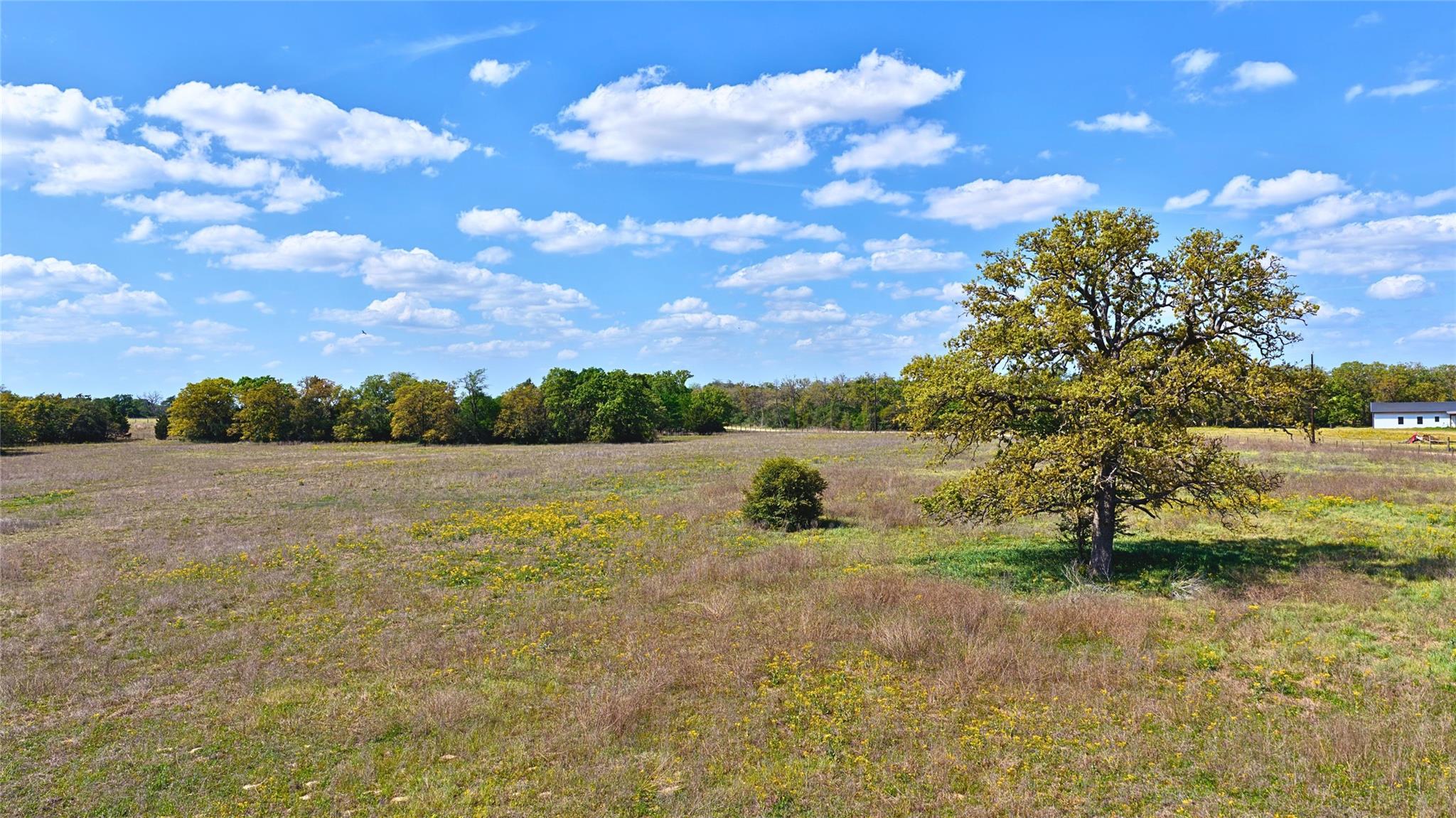 Tbd Legacy Road (10.8 Acres) Caldwell TX 77836