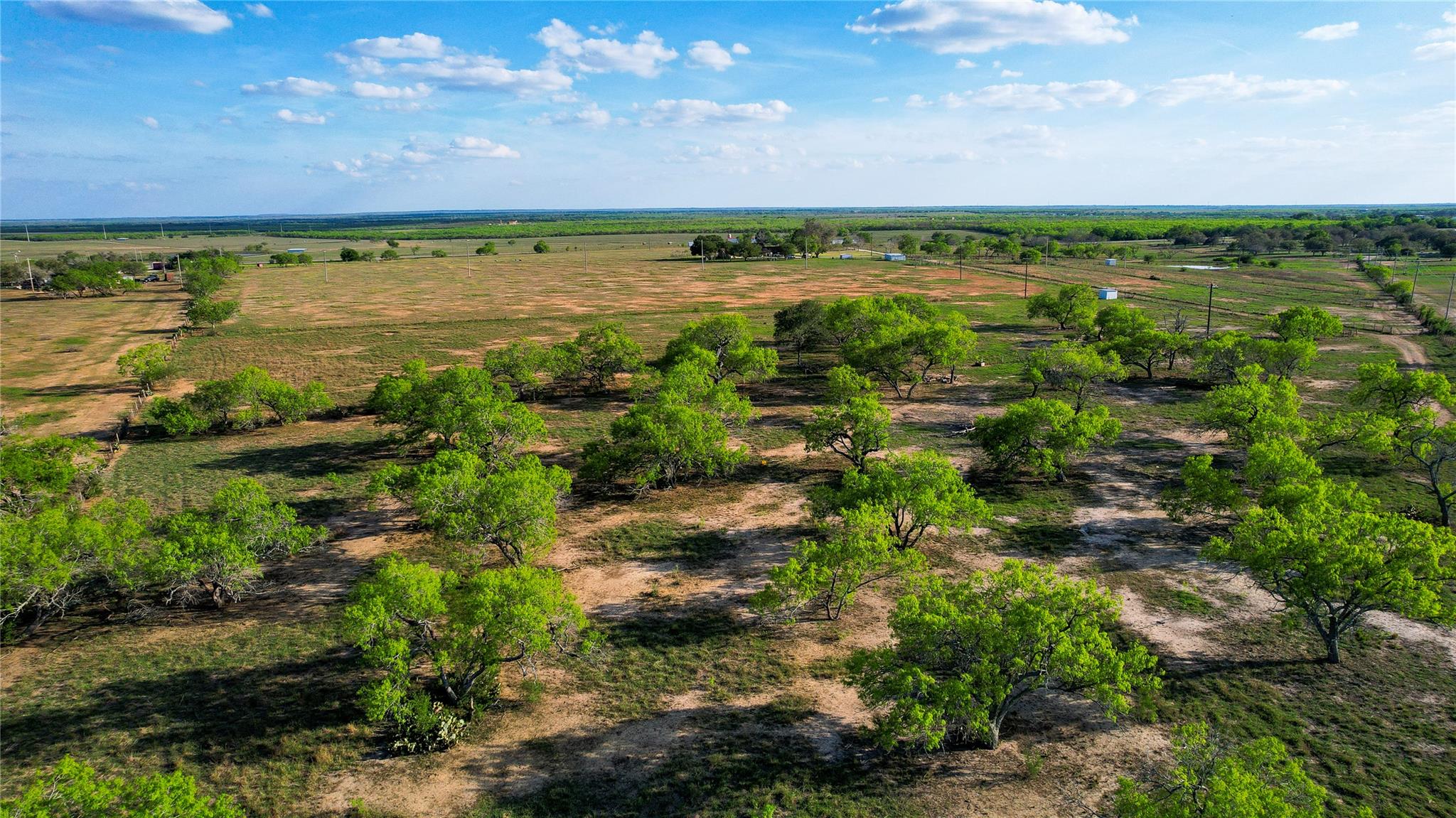 Tract 3 +/- 29 Ac E State Highway 87 Nixon TX 78140