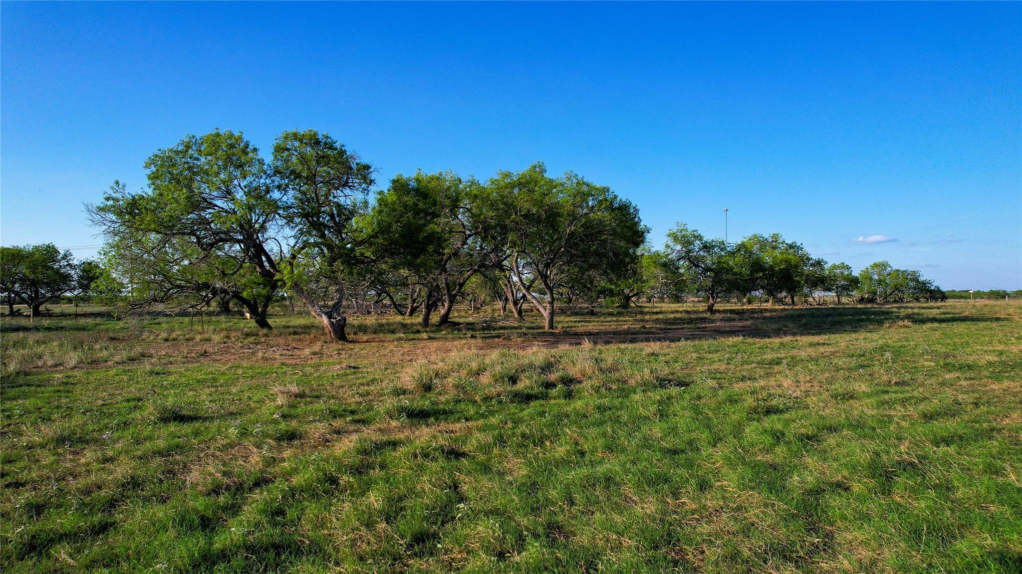 Tract 3 +/- 29 Ac E State Highway 87 Nixon TX 78140