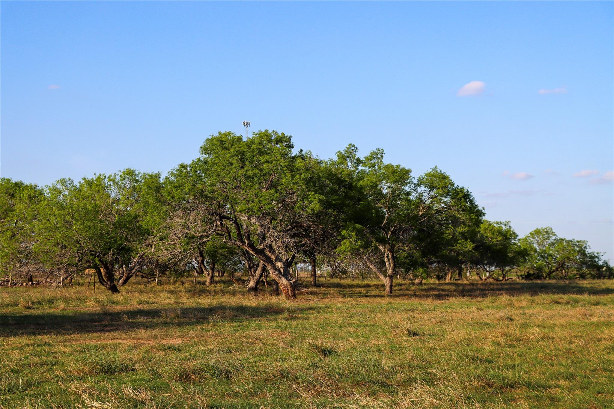 Tract 3 +/- 29 Ac E State Highway 87 Nixon TX 78140