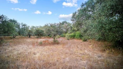 Tbd Wild Wing Preserve Columbus TX 78640