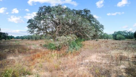 Tbd Wild Wing Preserve Columbus TX 78640
