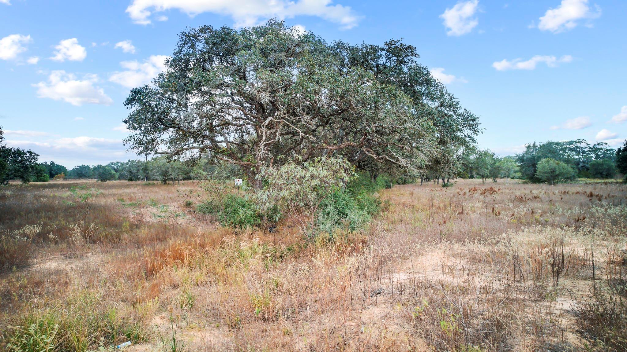 Tbd Wild Wing Preserve Columbus TX 78640