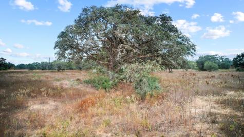 Tbd Wild Wing Preserve Columbus TX 78640