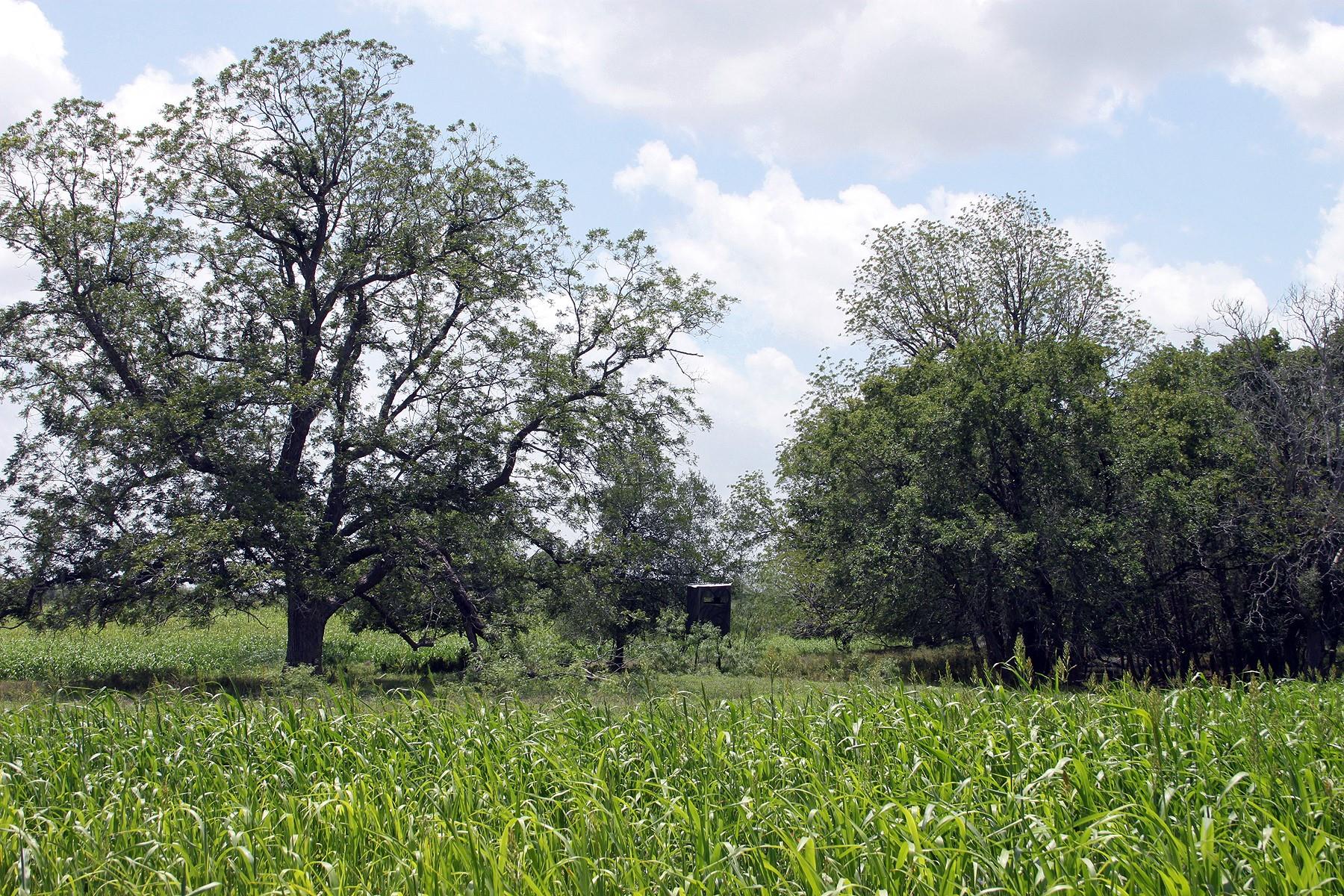 9411 Fm 86 Highway Lockhart TX 78644