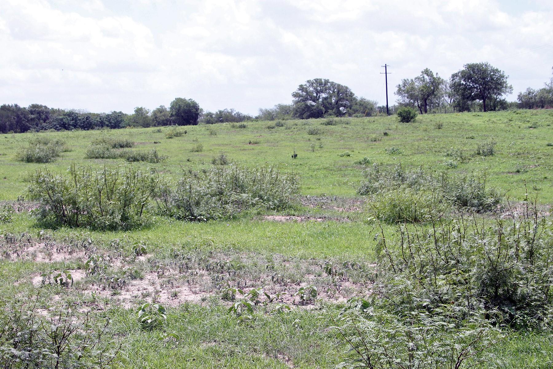 9411 Fm 86 Highway Lockhart TX 78644