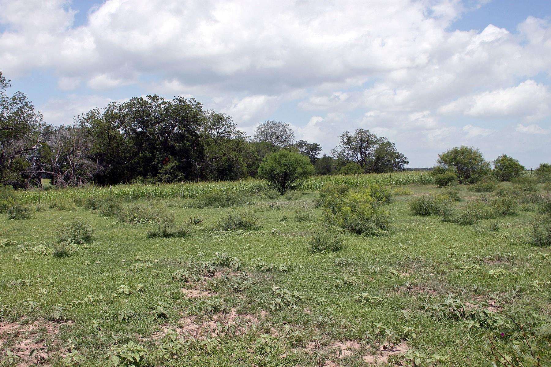 9411 Fm 86 Highway Lockhart TX 78644