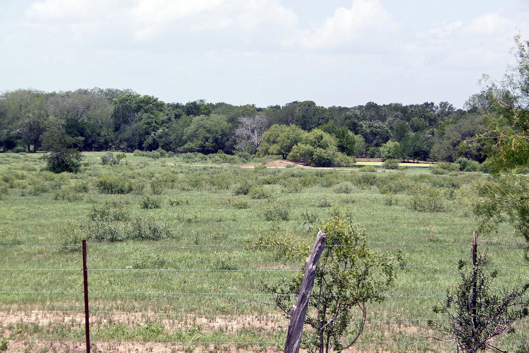 9411 Fm 86 Highway Lockhart TX 78644
