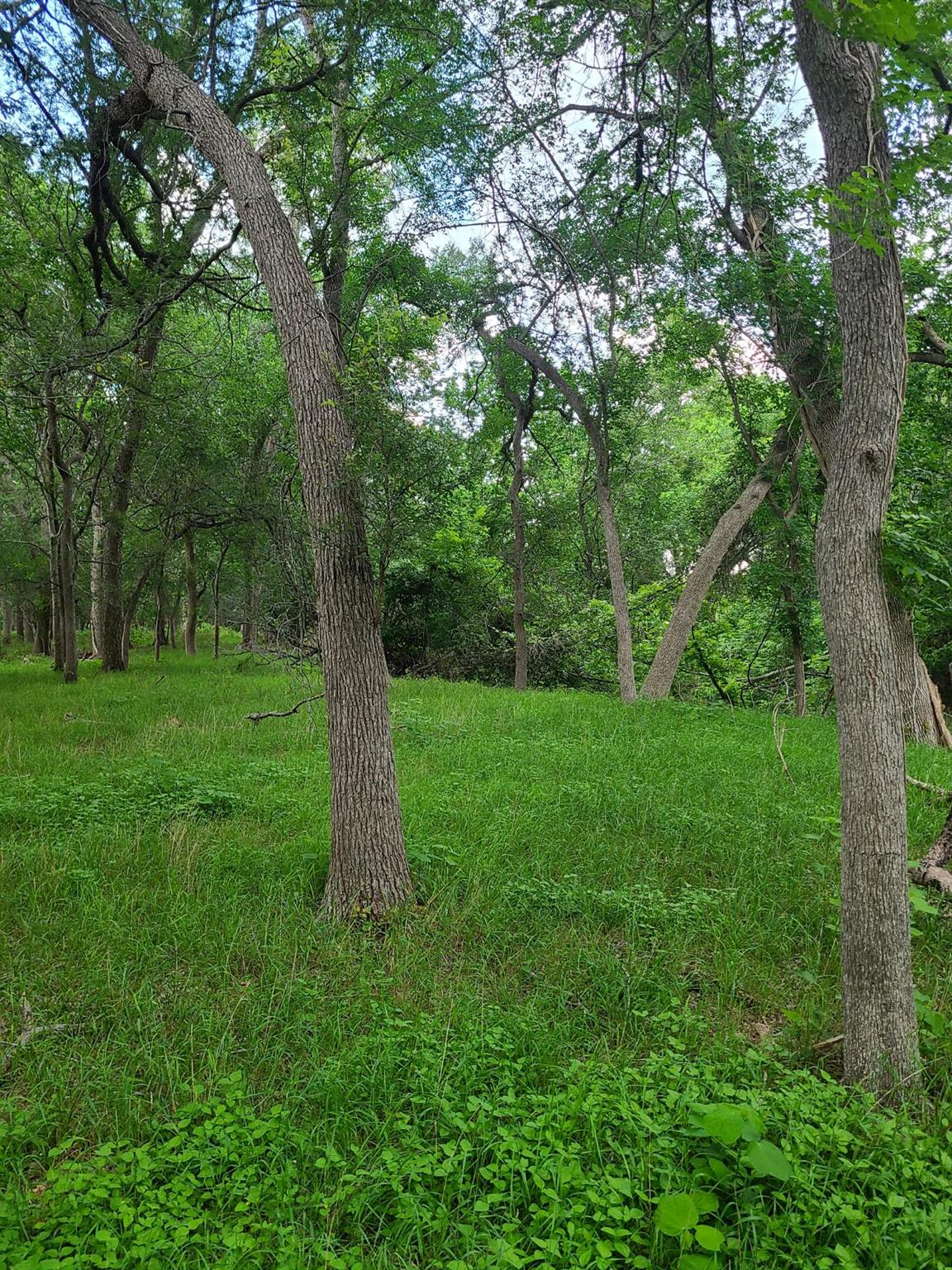 9411 Fm 86 Highway Lockhart TX 78644