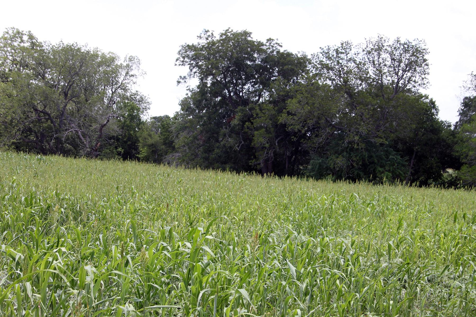 9411 Fm 86 Highway Lockhart TX 78644