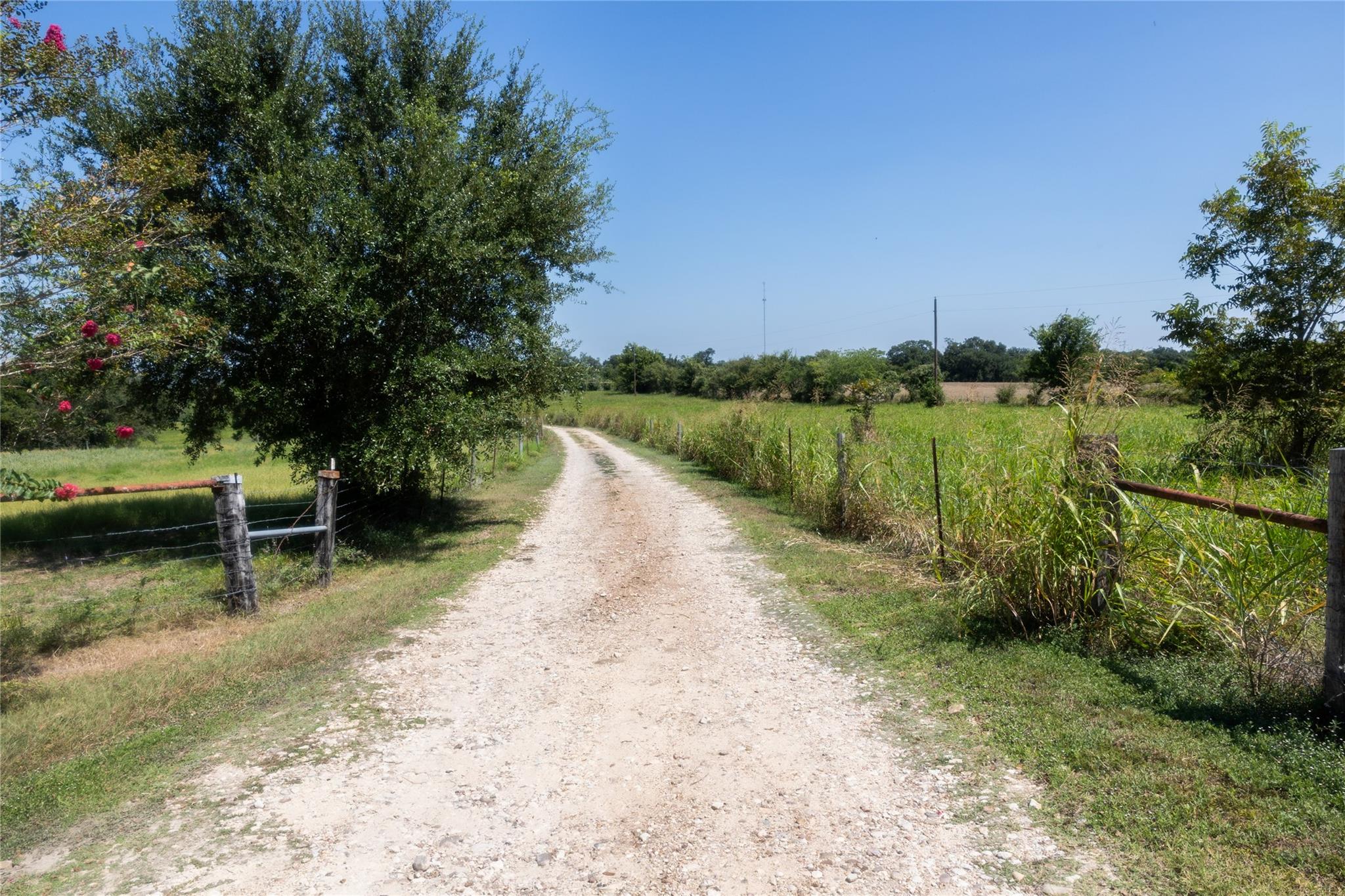 3225 Terrier Hill Lane Brenham TX 77833