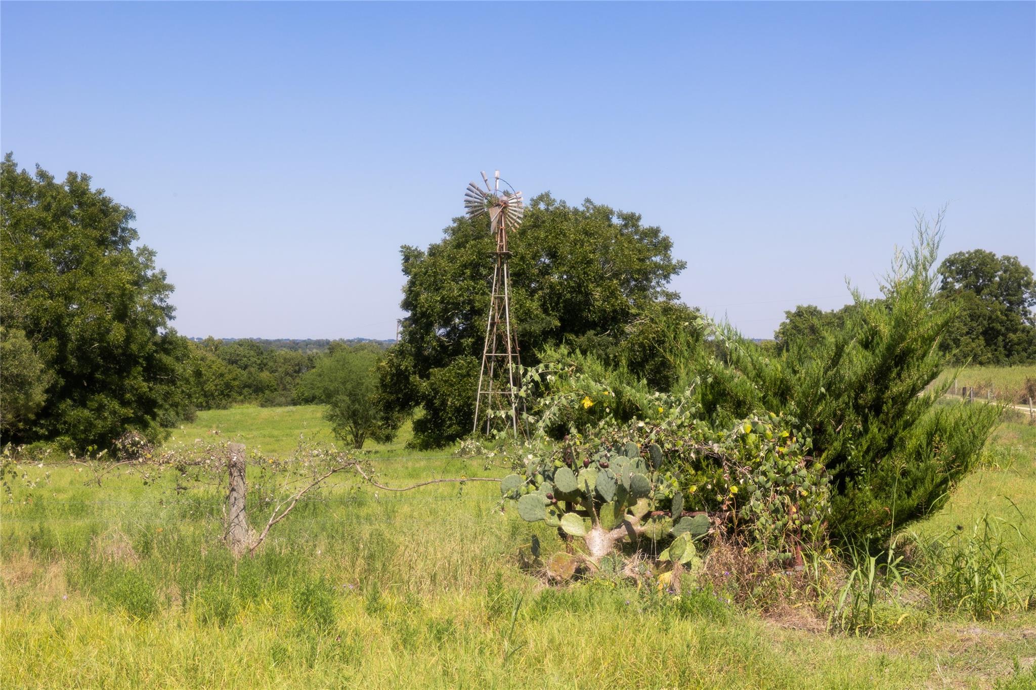 3225 Terrier Hill Lane Brenham TX 77833
