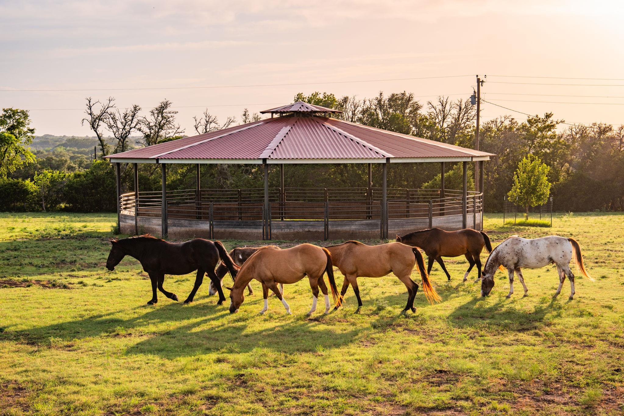 2055 County Road 284 Liberty Hill TX 78642