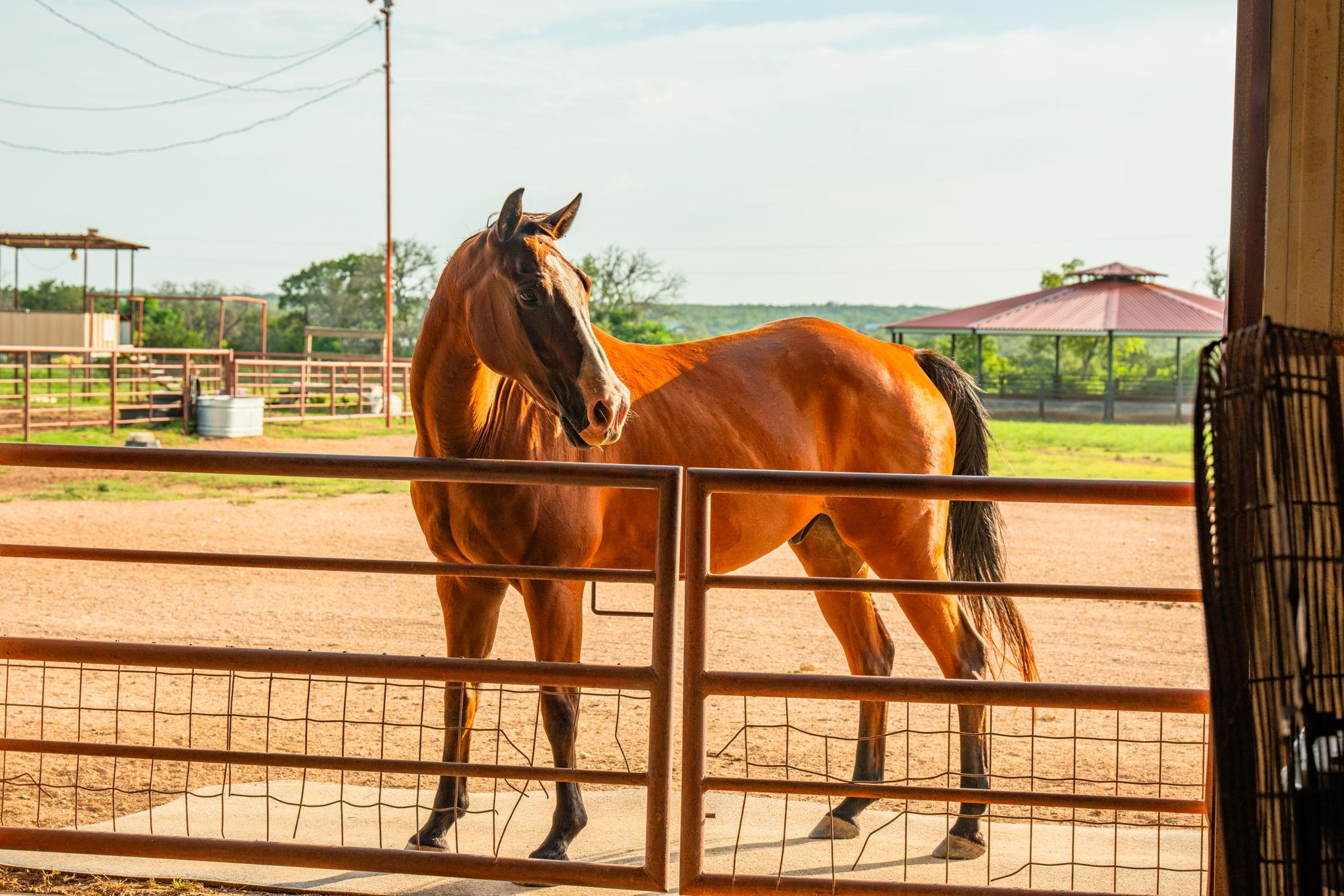 2055 County Road 284 Liberty Hill TX 78642
