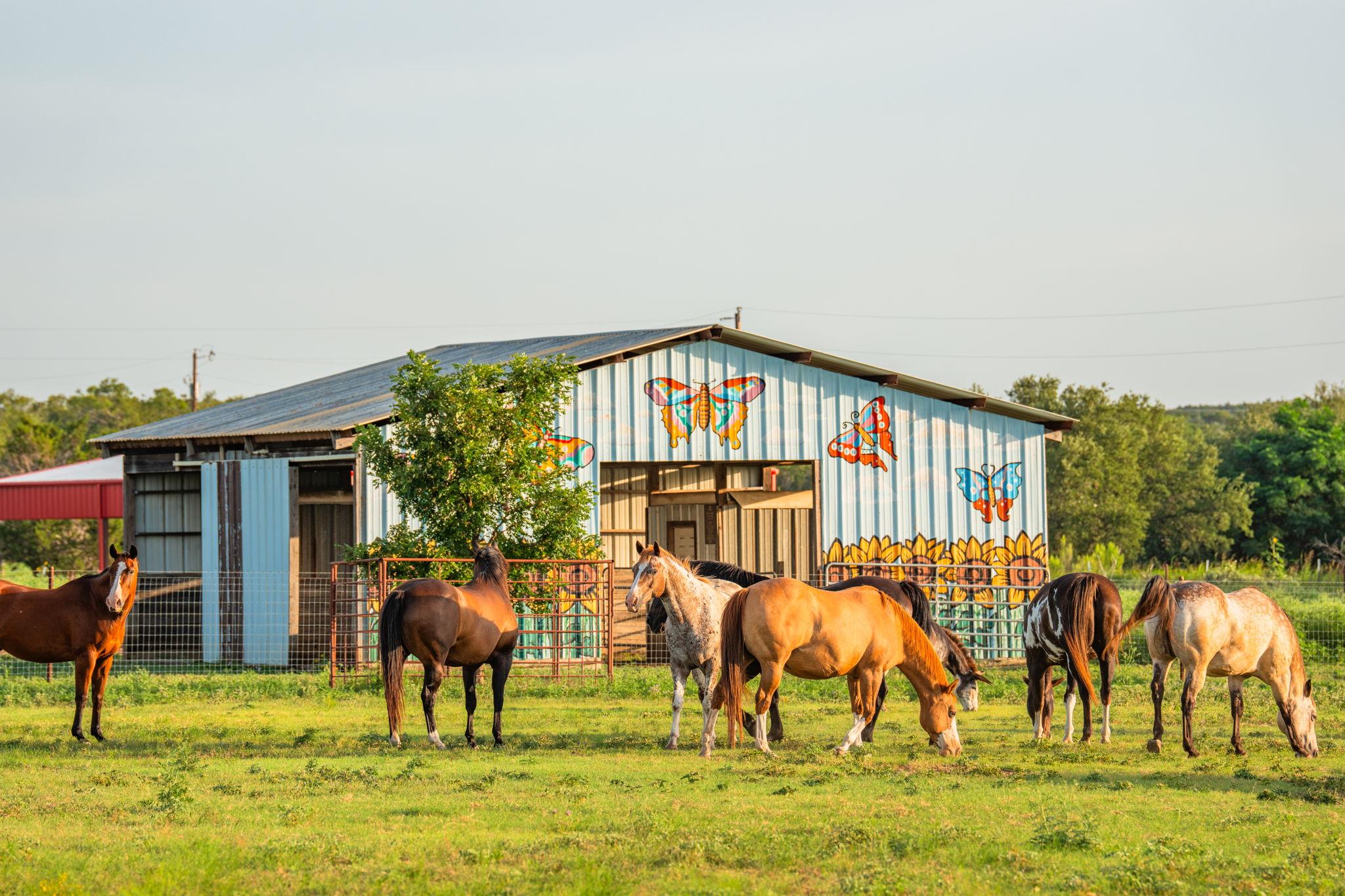 2055 County Road 284 Liberty Hill TX 78642