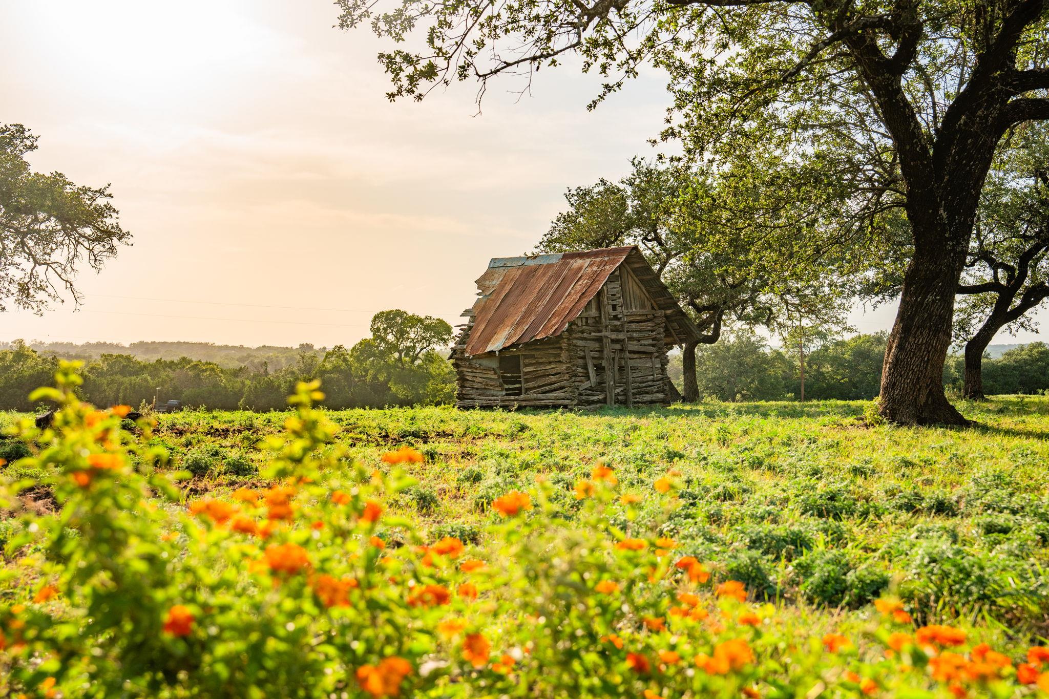 2055 County Road 284 Liberty Hill TX 78642