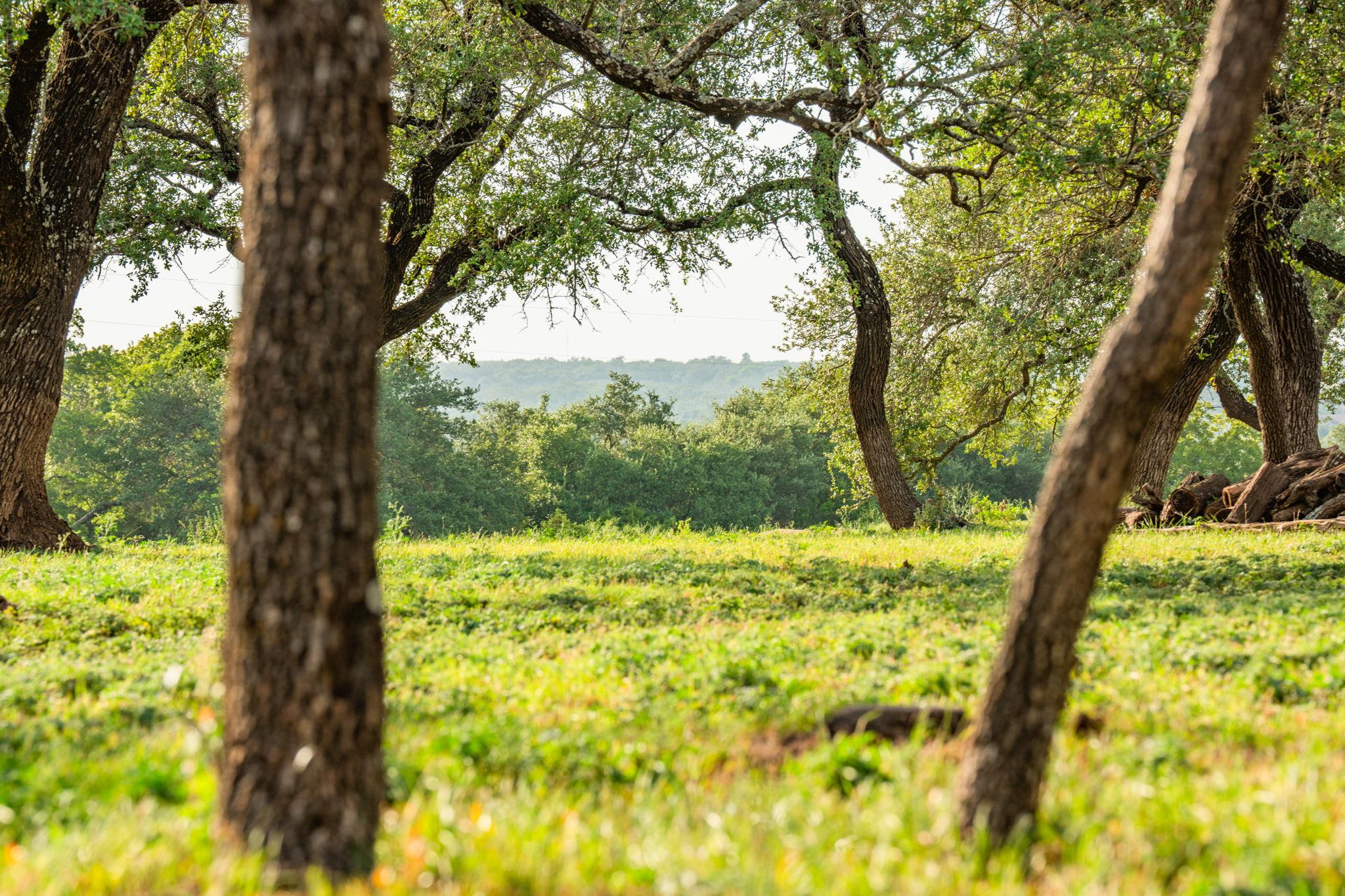 2055 County Road 284 Liberty Hill TX 78642