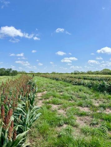 0 I35-access Highway Pearsall TX 78061