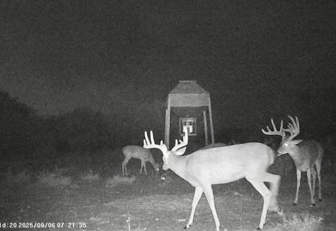 0 I35-access Highway Pearsall TX 78061