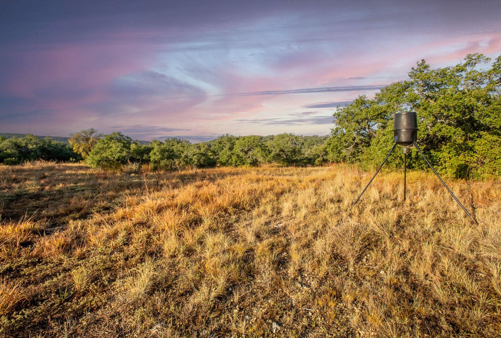 12516 Wire Road Leander TX 78641