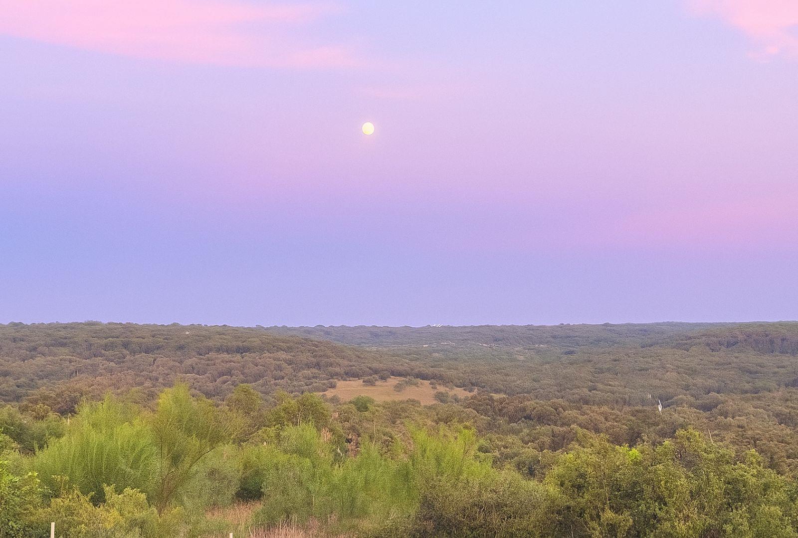 12516 Wire Road Leander TX 78641