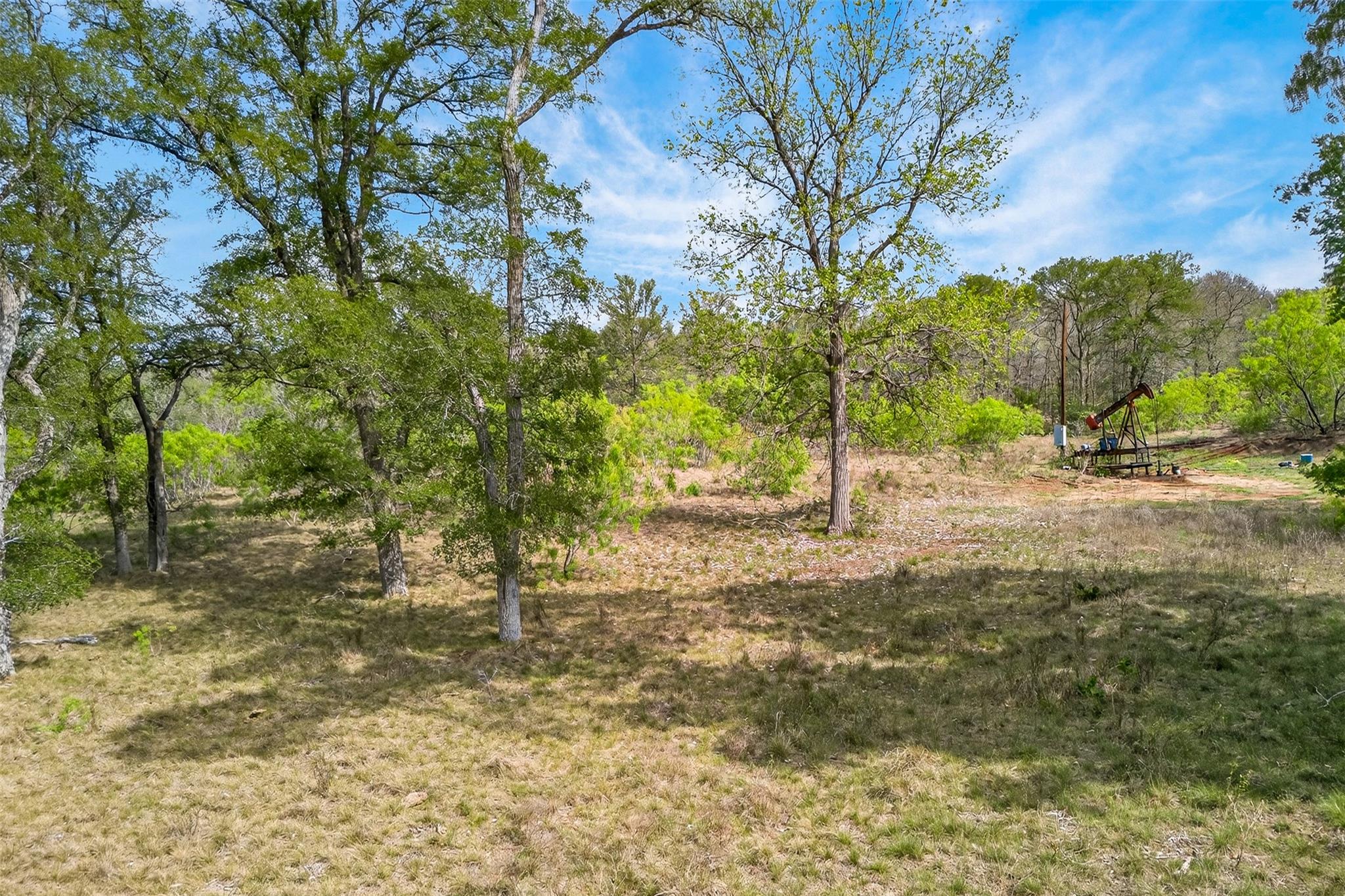 1077 Burdette Wells Road Lockhart TX 78644