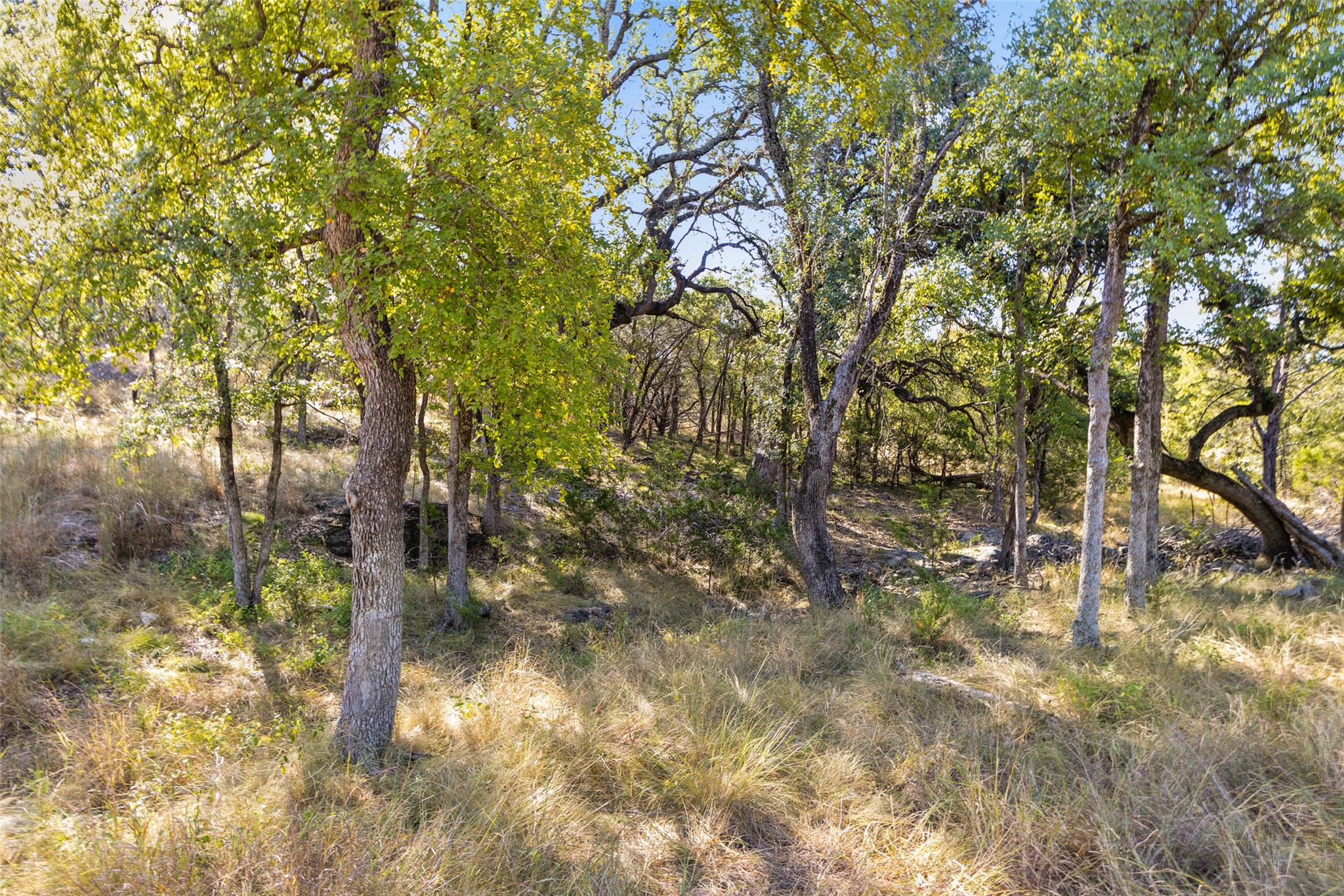 1301 Rm 2147 Marble Falls TX 78654