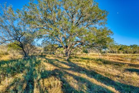 32901 Texas Highway 55 Uvalde TX 78801