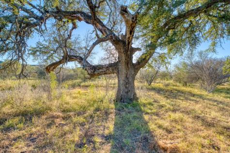 32901 Texas Highway 55 Uvalde TX 78801