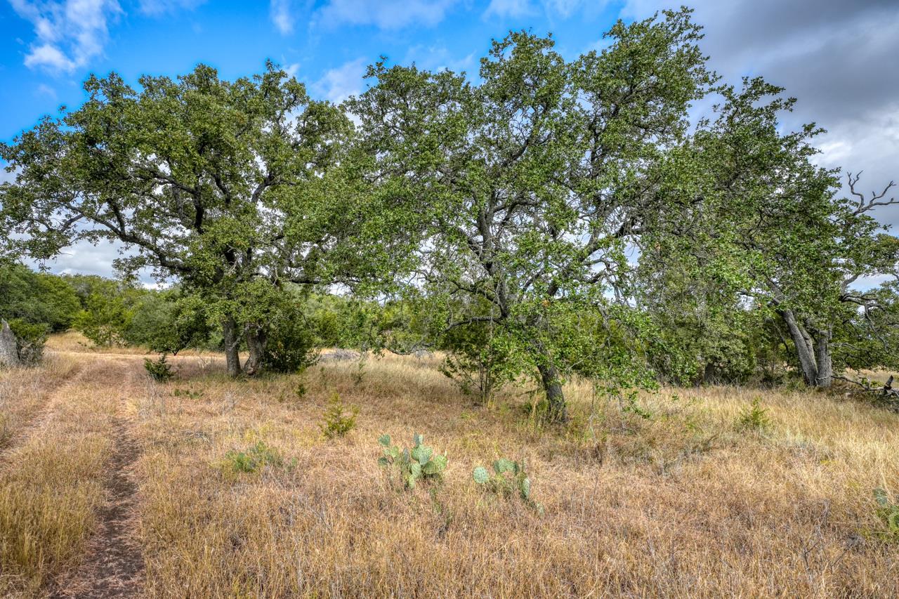 000 Cr 103 Lampasas TX 76550