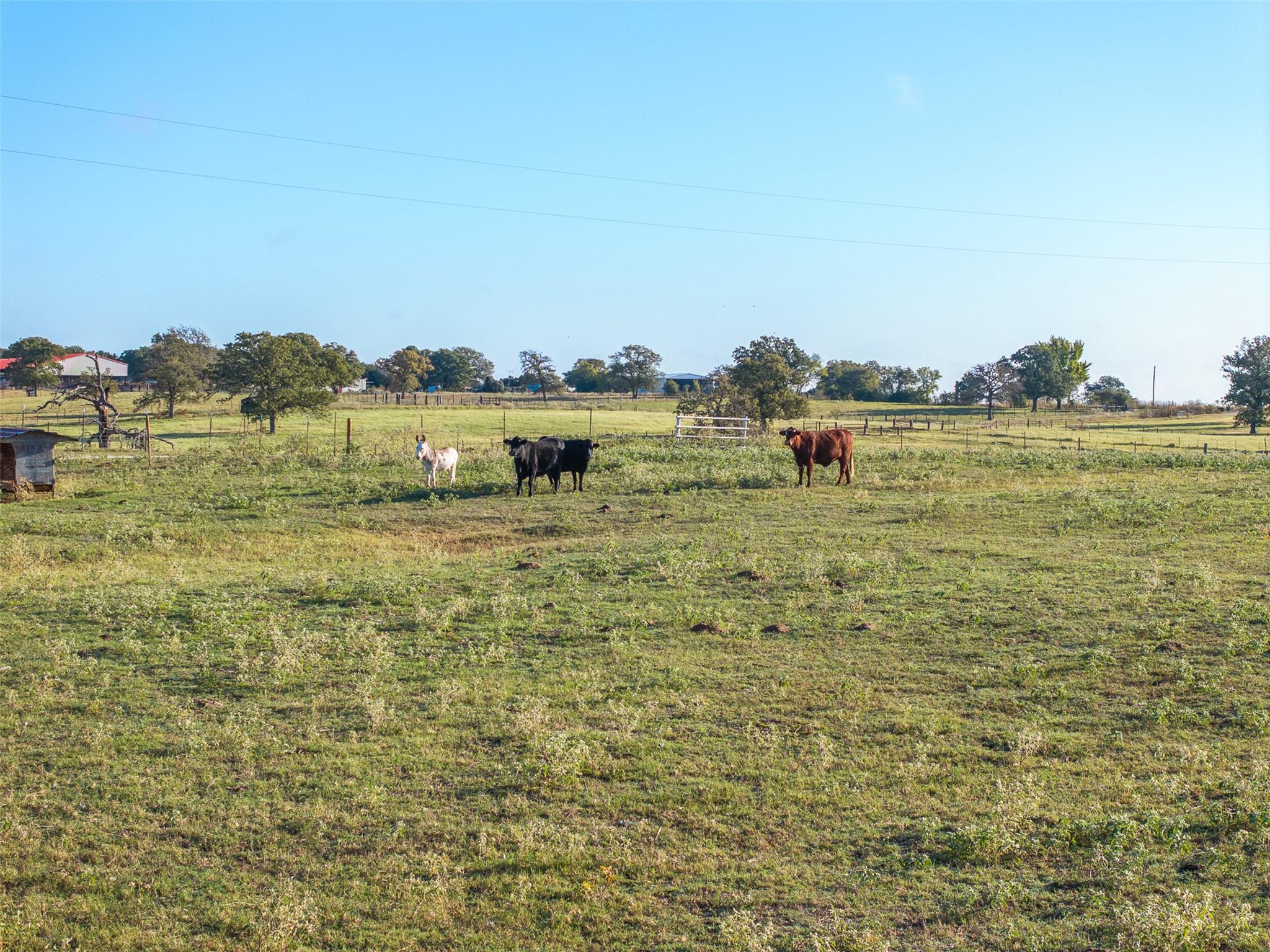 510 County Road 282 Cameron TX 76520