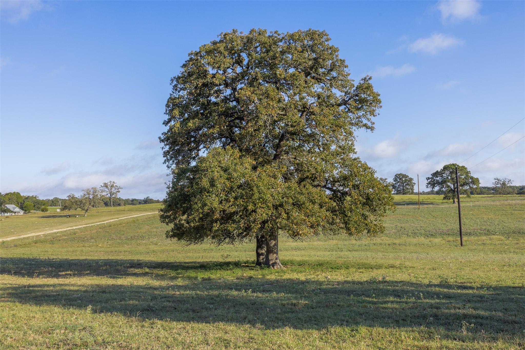 510 County Road 282 Cameron TX 76520