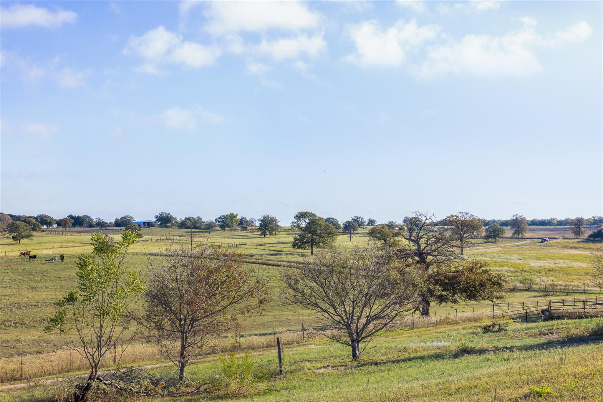 510 County Road 282 Cameron TX 76520