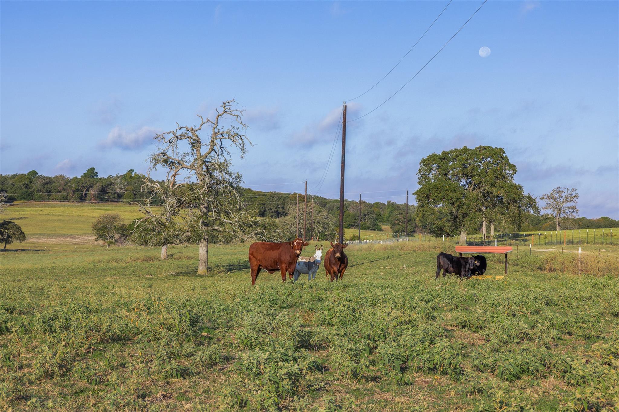 510 County Road 282 Cameron TX 76520
