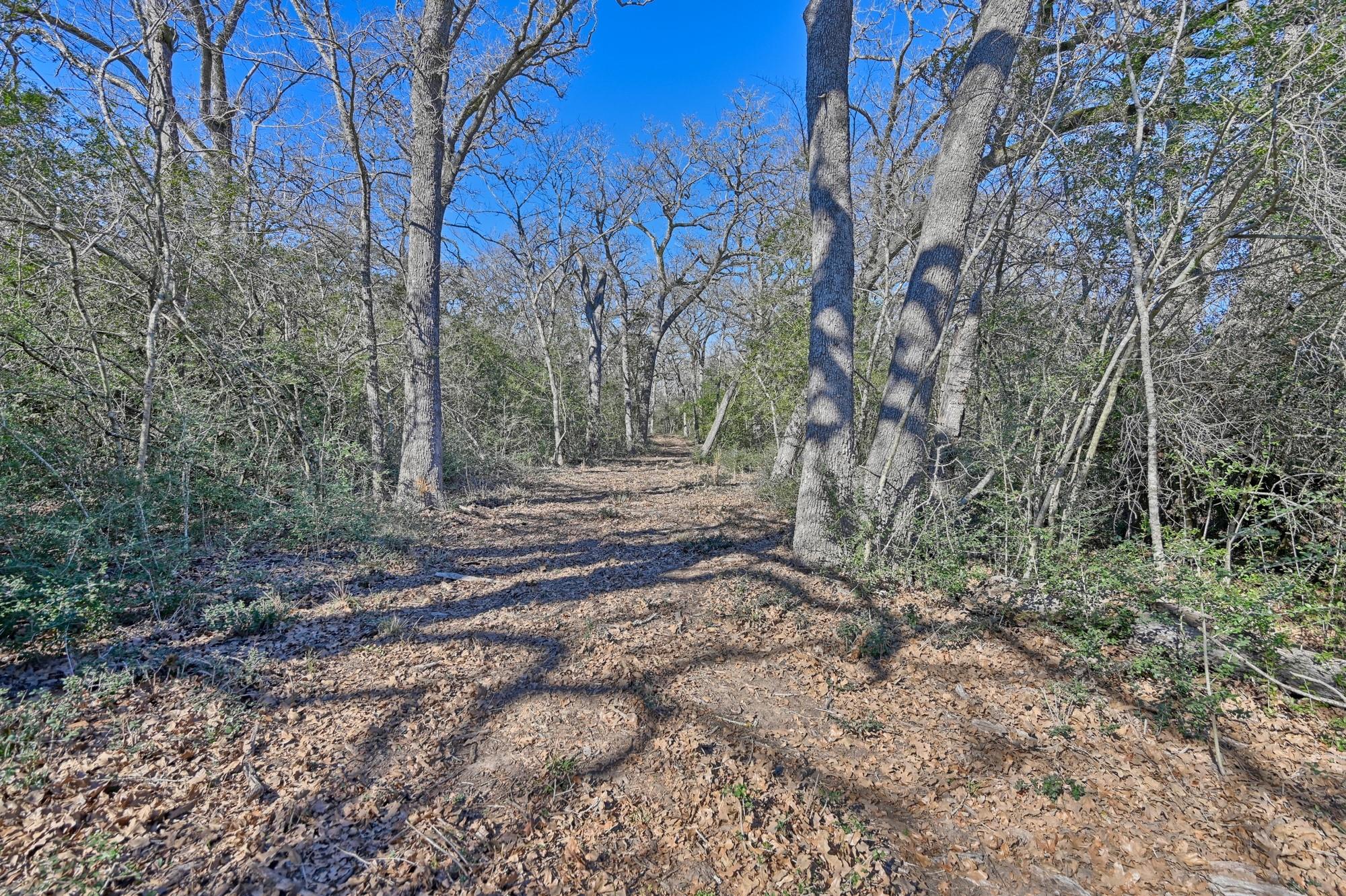 6881 Fm 2000 Caldwell TX 77836