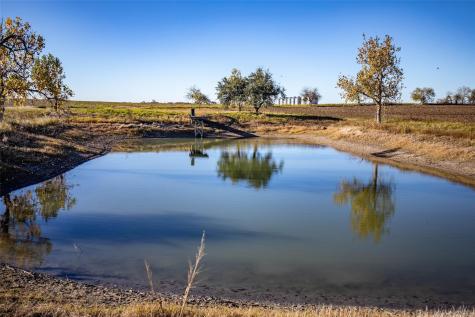 14914 Svenska Road Coupland TX 78615