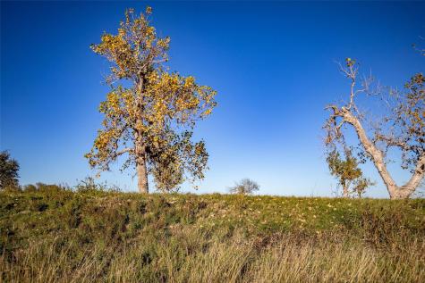 14914 Svenska Road Coupland TX 78615