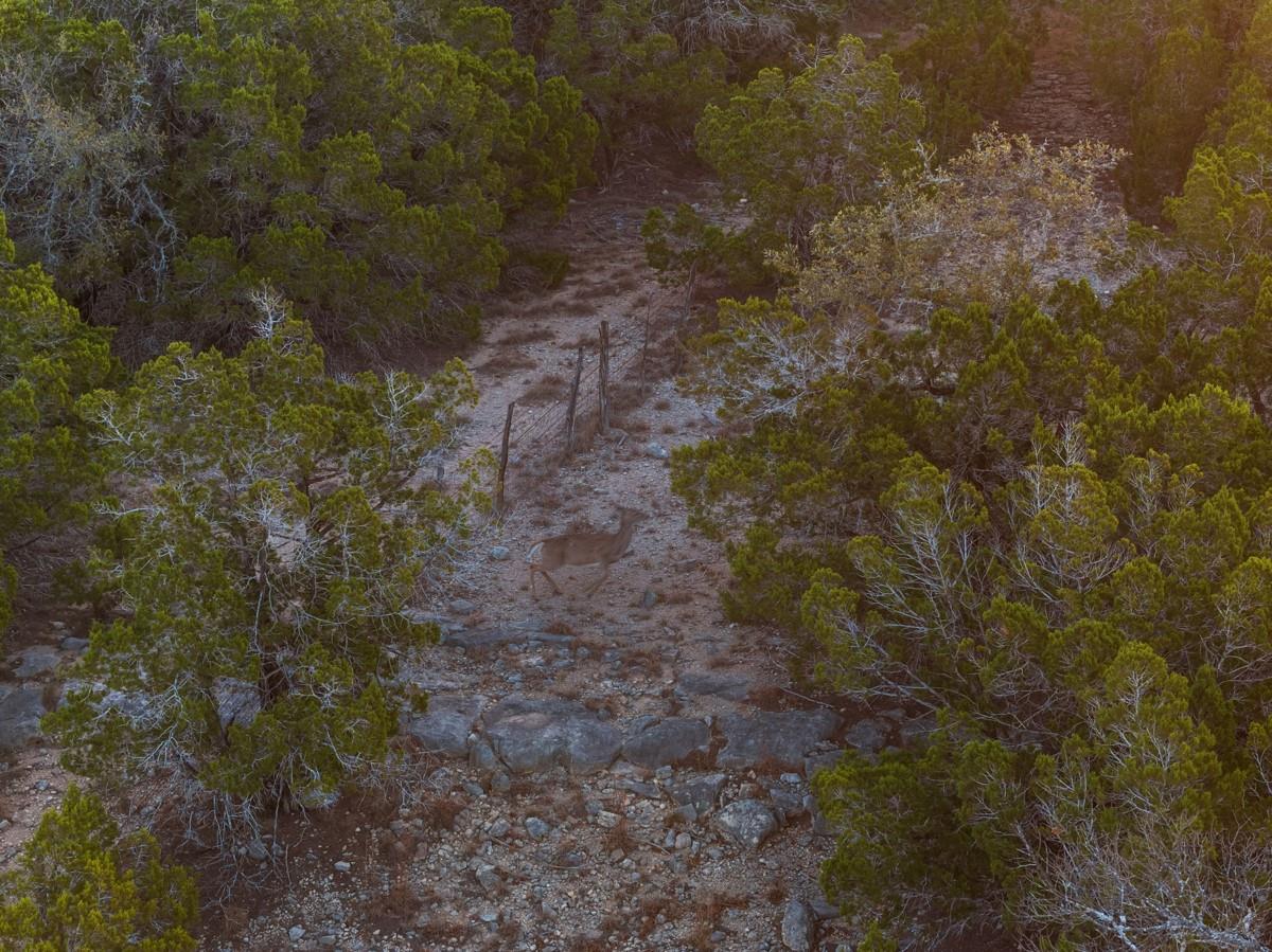 3003 Old Red Ranch Road Dripping Springs TX 78620