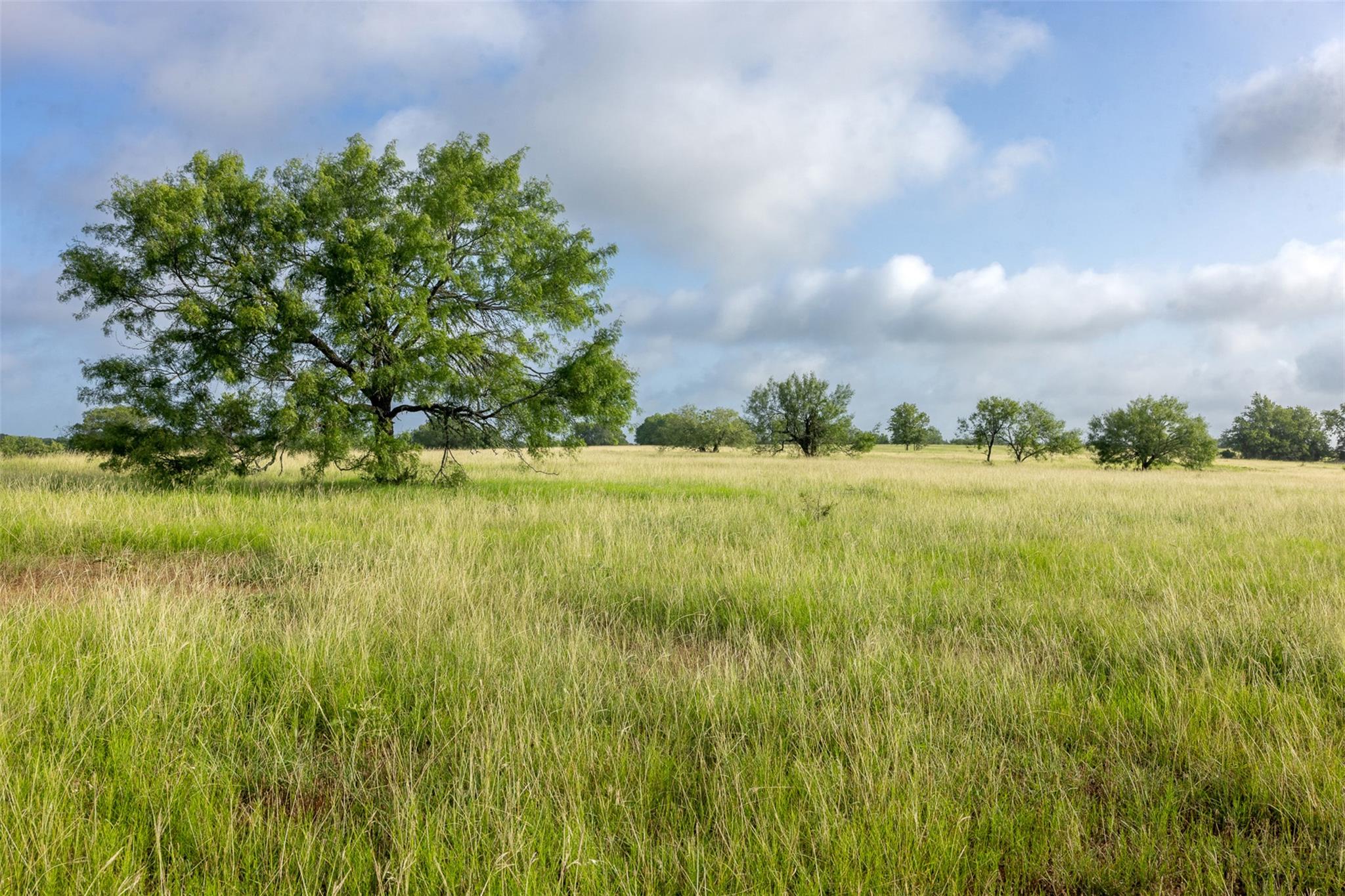 4046 State Highway 21 Caldwell TX 77835