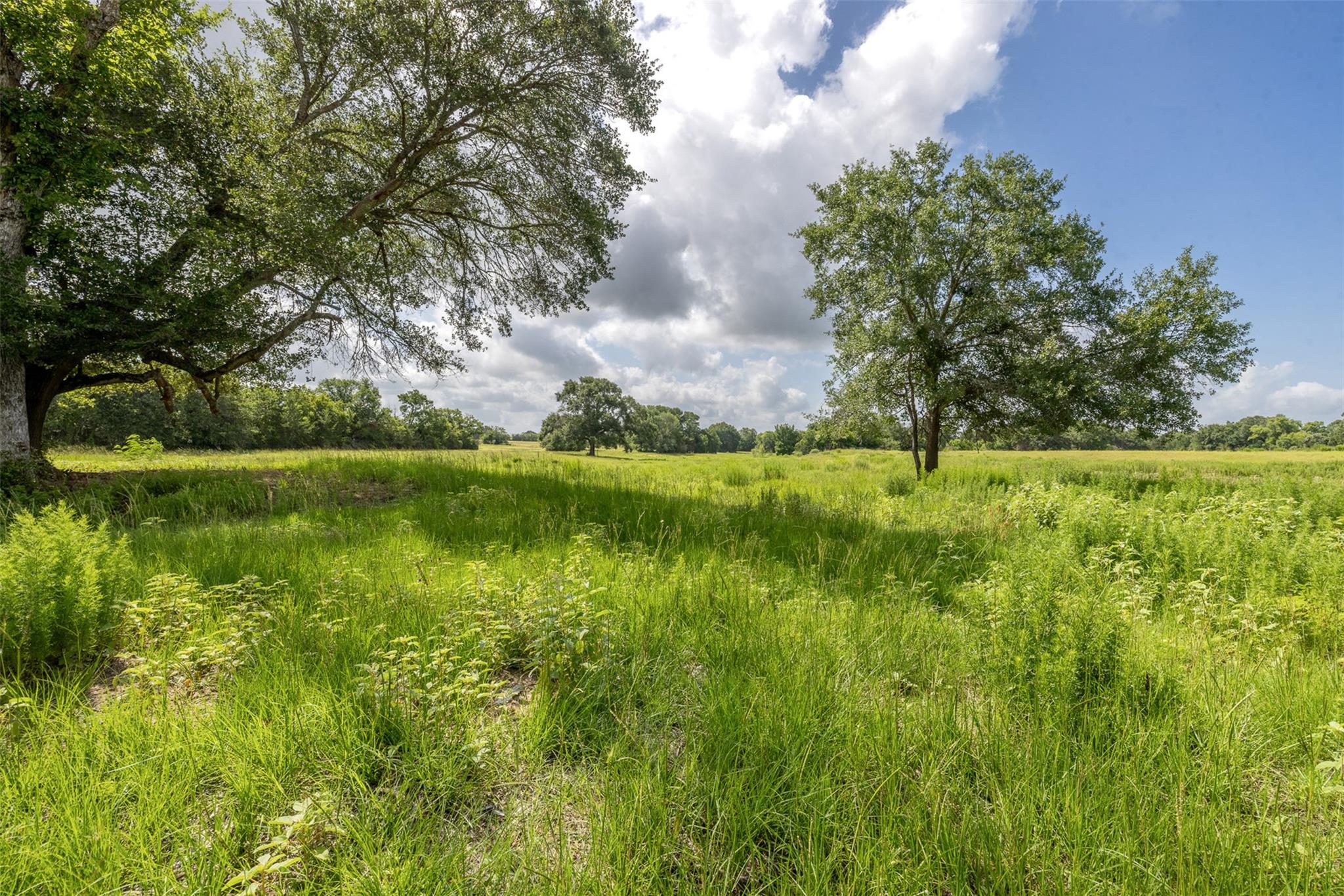 4046 State Highway 21 Caldwell TX 77835
