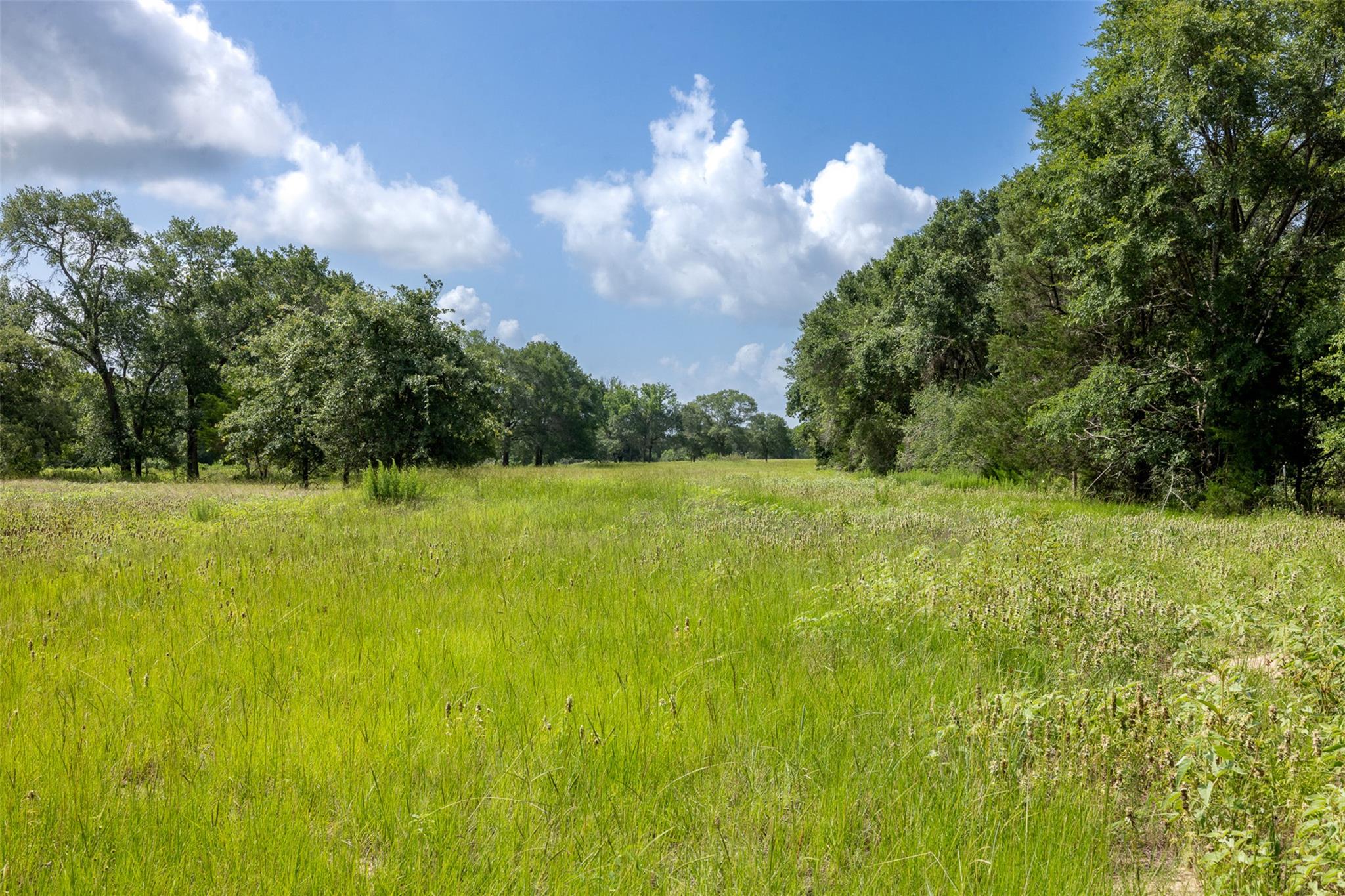 4046 State Highway 21 Caldwell TX 77835